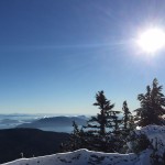 Solar energy shines brightly in 2015 Solar energy shines brightly in 2015