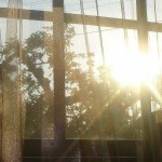 Transparent solar cells, coming soon?